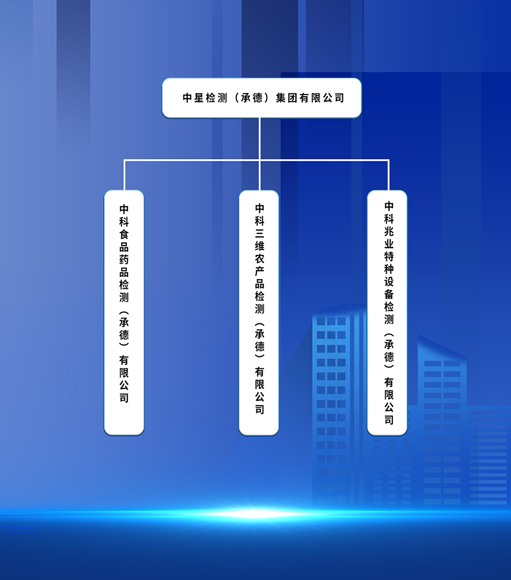 集團組成(圖1)
